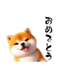 毎日使える柴犬の日常会話スタンプ（個別スタンプ：20）