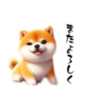 毎日使える柴犬の日常会話スタンプ（個別スタンプ：21）
