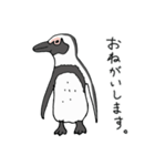 ケープペンギンといっしょ（個別スタンプ：2）
