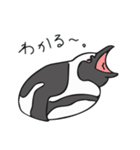 ケープペンギンといっしょ（個別スタンプ：3）