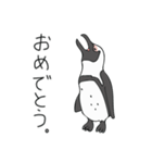 ケープペンギンといっしょ（個別スタンプ：4）