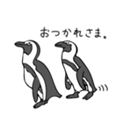 ケープペンギンといっしょ（個別スタンプ：6）