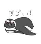 ケープペンギンといっしょ（個別スタンプ：8）