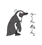 ケープペンギンといっしょ（個別スタンプ：9）