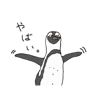 ケープペンギンといっしょ（個別スタンプ：11）