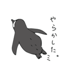 ケープペンギンといっしょ（個別スタンプ：12）