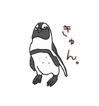 ケープペンギンといっしょ（個別スタンプ：14）