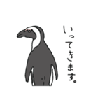 ケープペンギンといっしょ（個別スタンプ：15）