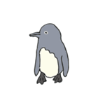 ケープペンギンといっしょ（個別スタンプ：16）