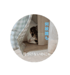 私の忘備録②（個別スタンプ：6）
