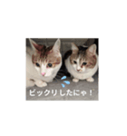 私の忘備録②（個別スタンプ：8）