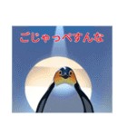 茨城弁ペンギンだっぺ（個別スタンプ：12）