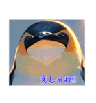 茨城弁ペンギンだっぺ（個別スタンプ：14）