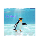 茨城弁ペンギンだっぺ（個別スタンプ：15）