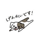 ワライーヌ（個別スタンプ：26）