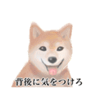 ワライーヌ（個別スタンプ：28）
