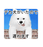 ワライーヌ（個別スタンプ：40）
