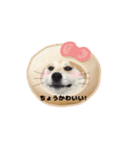げんちゃんは今日もスイーツたべる（個別スタンプ：7）