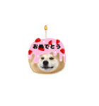 げんちゃんは今日もスイーツたべる（個別スタンプ：12）