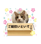 畑ぽんたのスタンプ（個別スタンプ：7）