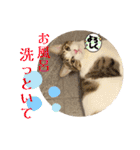 畑ぽんたのスタンプ（個別スタンプ：8）