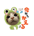 畑ぽんたのスタンプ（個別スタンプ：11）