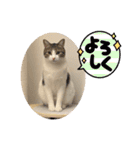 畑ぽんたのスタンプ（個別スタンプ：13）