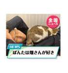 畑ぽんたのスタンプ（個別スタンプ：29）