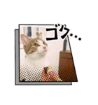 畑ぽんたのスタンプ（個別スタンプ：34）