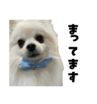 もふもふ！もふちゃん（個別スタンプ：3）