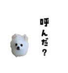 もふもふ！もふちゃん（個別スタンプ：10）