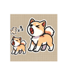 柴犬スタンプby はる（個別スタンプ：1）