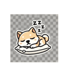 柴犬スタンプby はる（個別スタンプ：5）