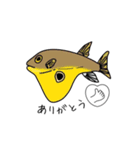 深海魚だいすきスタンプ（個別スタンプ：14）