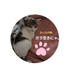 ラブアンドピース★☆★（個別スタンプ：1）
