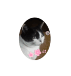 ラブアンドピース★☆★（個別スタンプ：4）