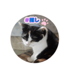 ラブアンドピース★☆★（個別スタンプ：7）