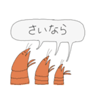 いきものさんれんスタンプ(ちょいゆる)（個別スタンプ：5）