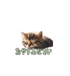 AIシャルル（個別スタンプ：1）