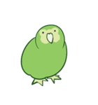 ゆるカカポ（個別スタンプ：1）