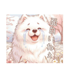 もふもふサモエドのことば〜もふ春〜（個別スタンプ：8）