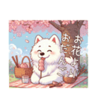 もふもふサモエドのことば〜もふ春〜（個別スタンプ：14）