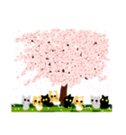 桜と猫達（個別スタンプ：1）