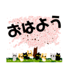 桜と猫達（個別スタンプ：2）