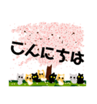 桜と猫達（個別スタンプ：3）