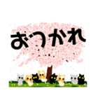 桜と猫達（個別スタンプ：5）