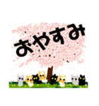 桜と猫達（個別スタンプ：6）