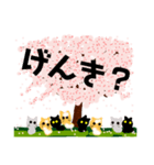桜と猫達（個別スタンプ：7）
