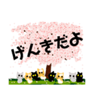 桜と猫達（個別スタンプ：8）