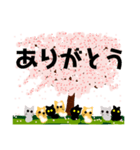 桜と猫達（個別スタンプ：9）